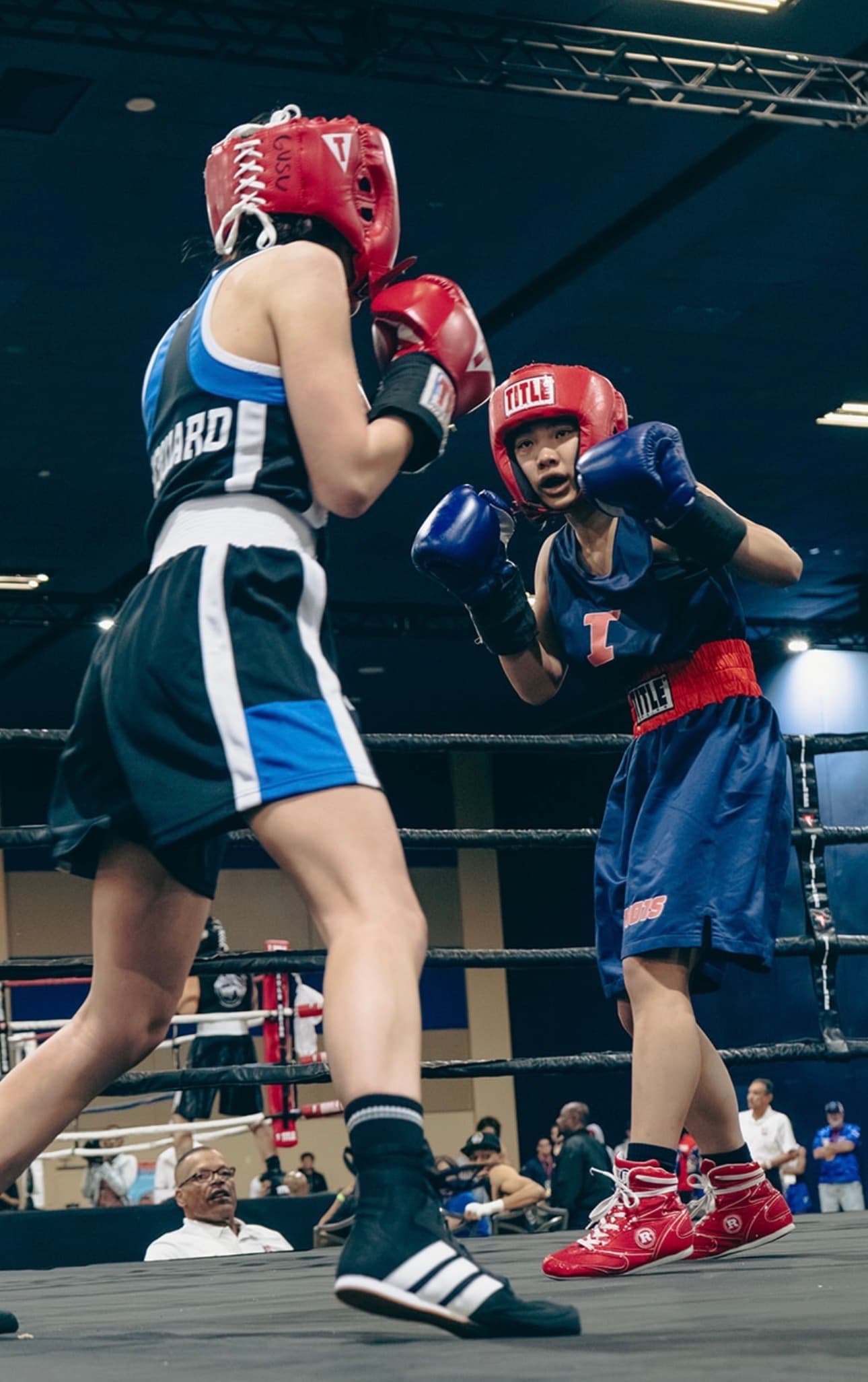 Diana boxing